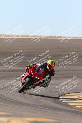 media/Jan-13-2024-SoCal Trackdays (Sat) [[9c032fe5aa]]/Bowl Exit Set 2 (1135am)/